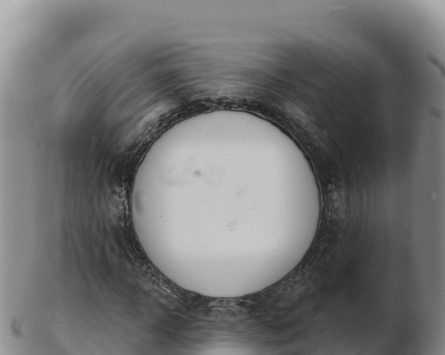 X0000103300918200809051519