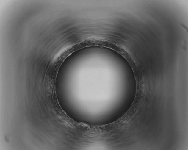 X0000103300919200809051519