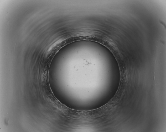 X0000103300920200809051519