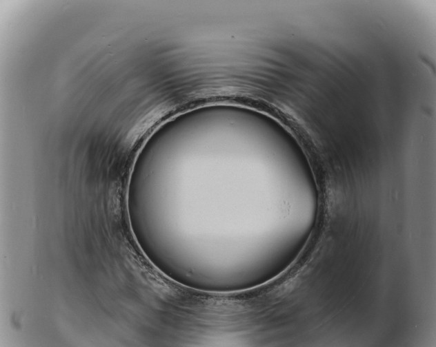 X0000103300921200809051519