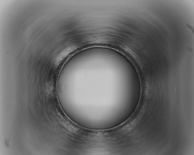 X0000103300922200809051519