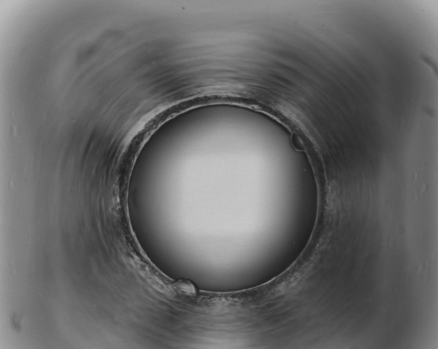 X0000103300923200809051519