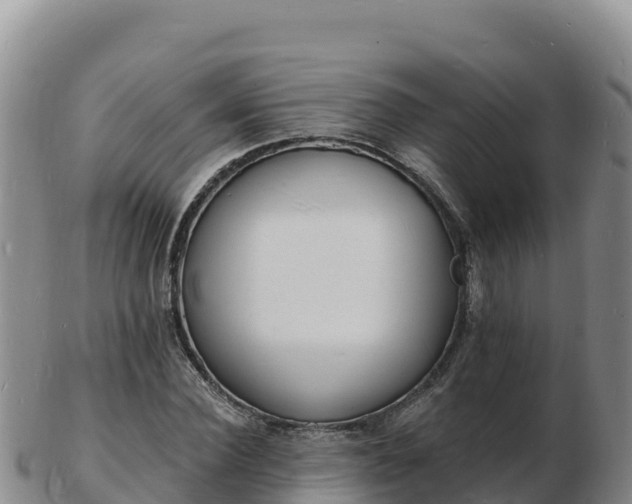 X0000103300924200809051519