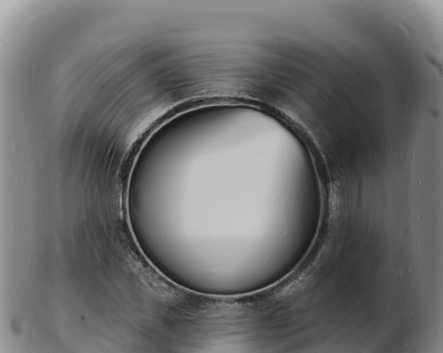 X0000103300925200809051519