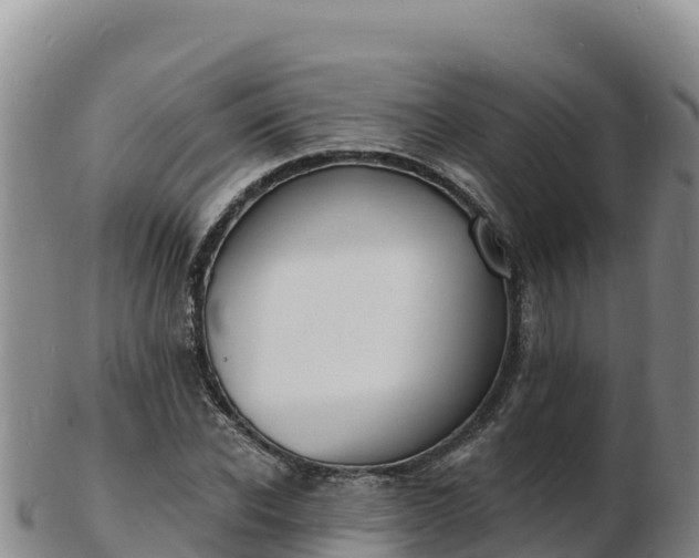 X0000103300926200809051519