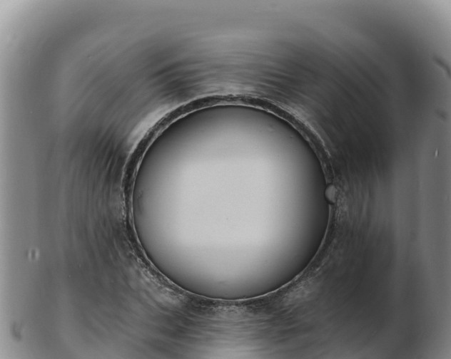 X0000103300927200809051519