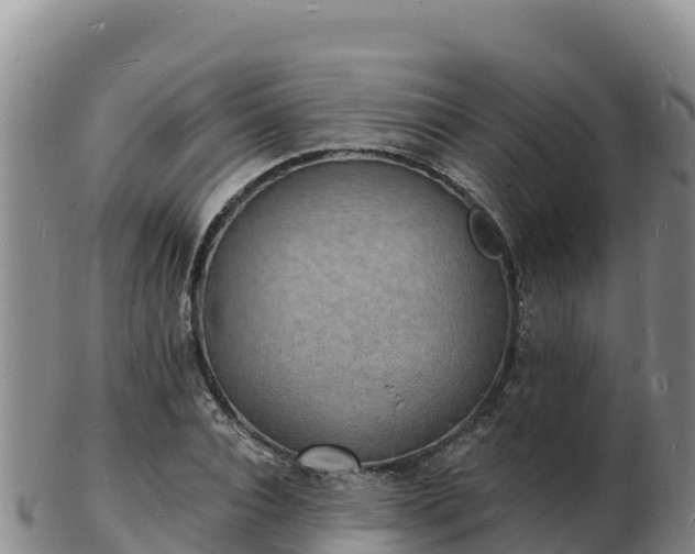 X0000103300928200809051519