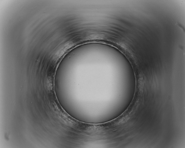 X0000103300929200809051519