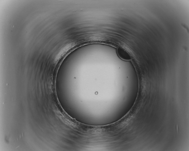 X0000103300930200809051519