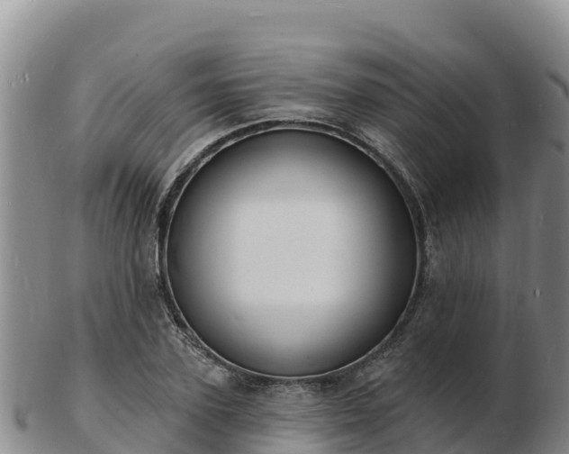 X0000103300931200809051519