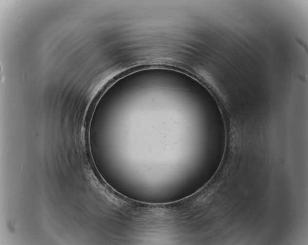 X0000103300932200809051519