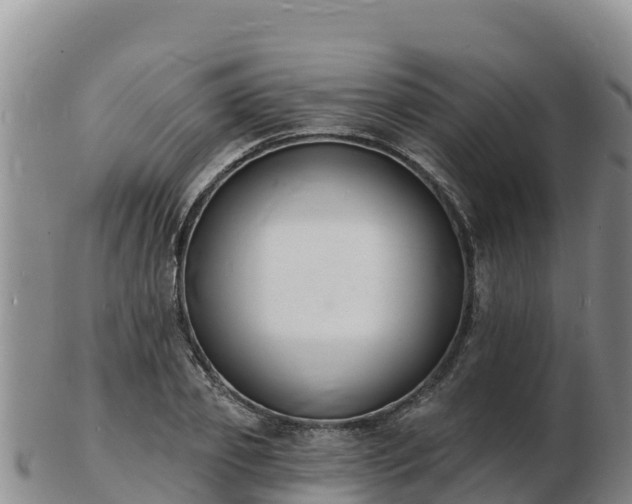 X0000103300933200809051519