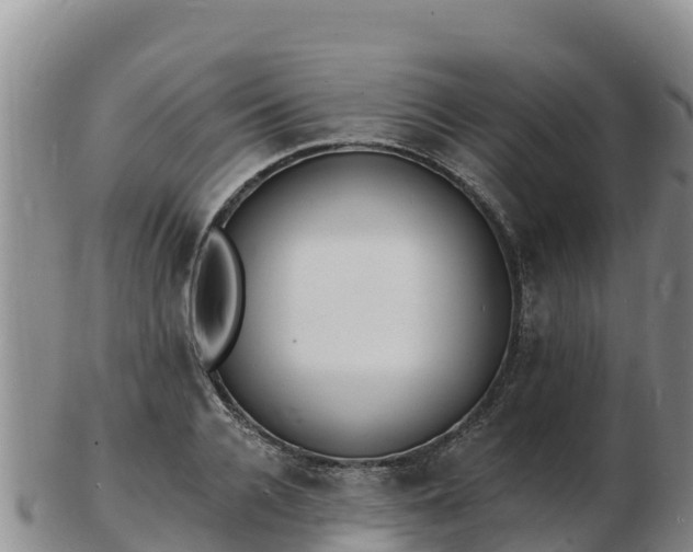 X0000103300936200809051519