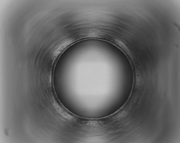 X0000103300938200809051519