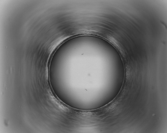 X0000103300940200809051519