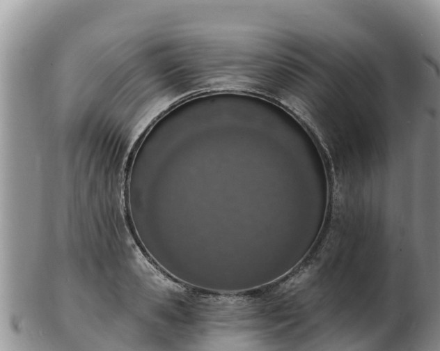 X0000103300941200809051519