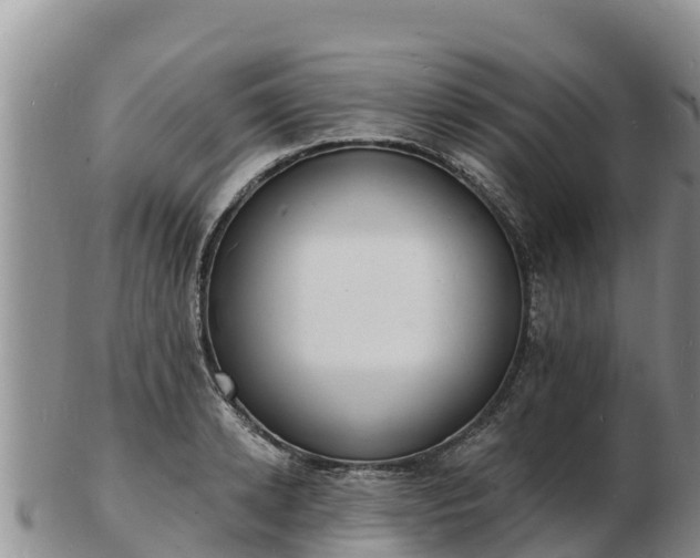 X0000103300942200809051519