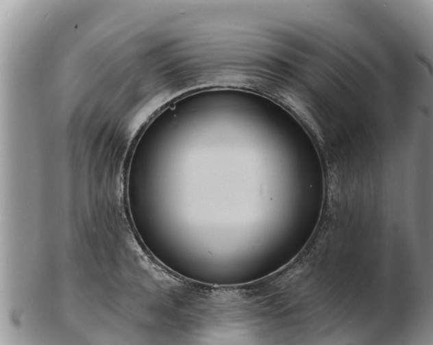 X0000103300944200809051519