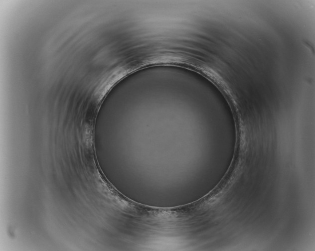 X0000103300945200809051519