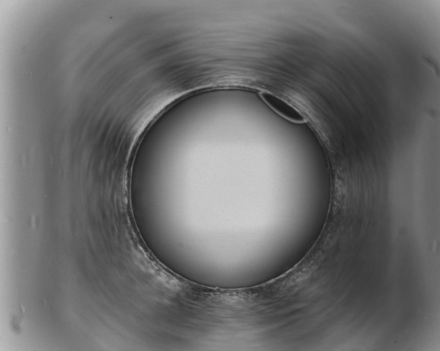 X0000103300948200809051519