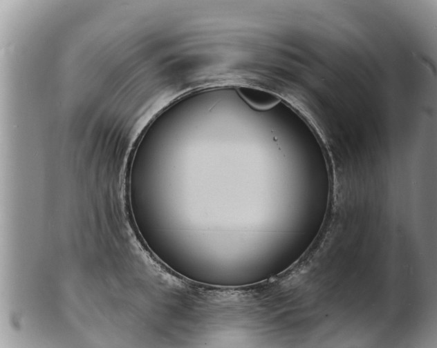 X0000103300949200809051519