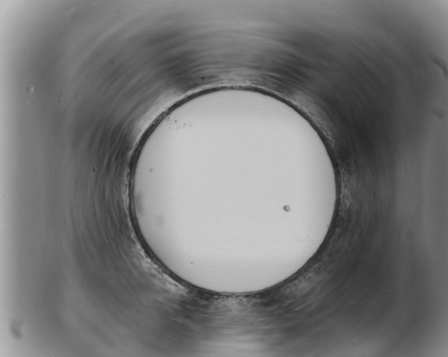 X0000103300950200809051519