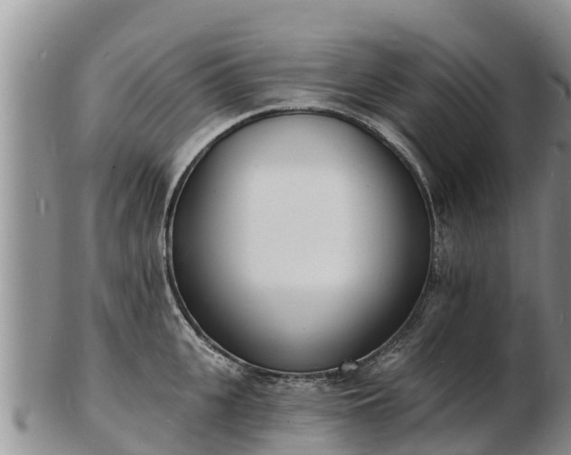 X0000103300951200809051519