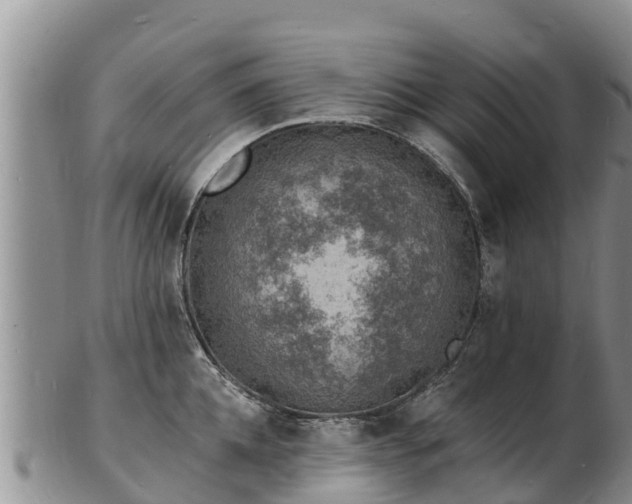 X0000103300952200809051519