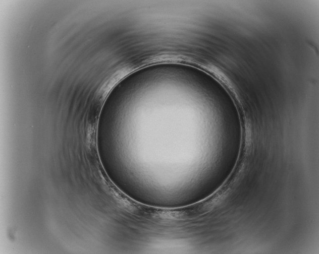 X0000103300953200809051519