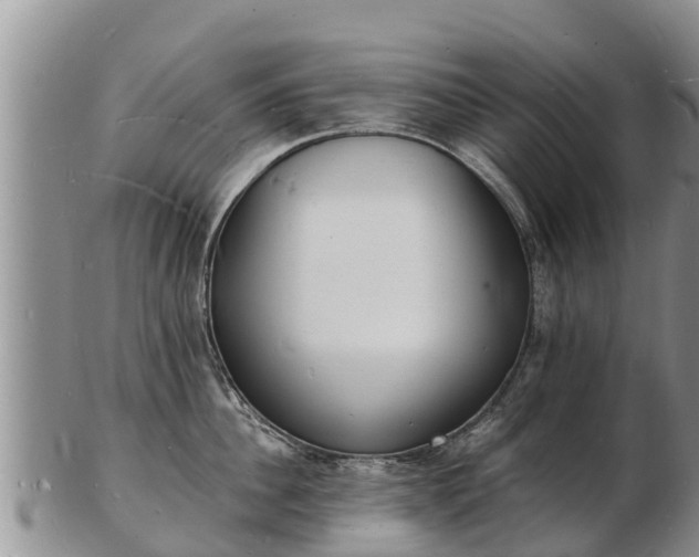 X0000103300956200809051520