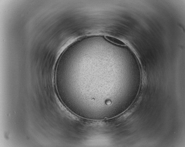 X0000103300957200809051520