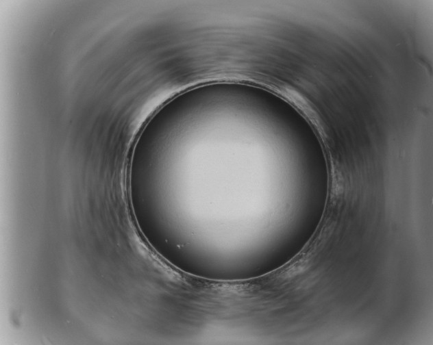 X0000103300958200809051520