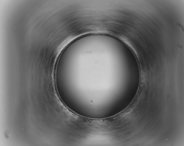 X0000103300959200809051520