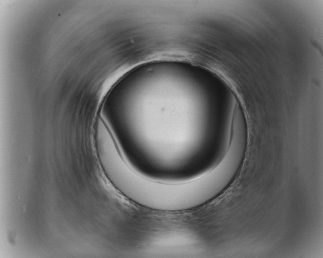 X0000103300960200809051520