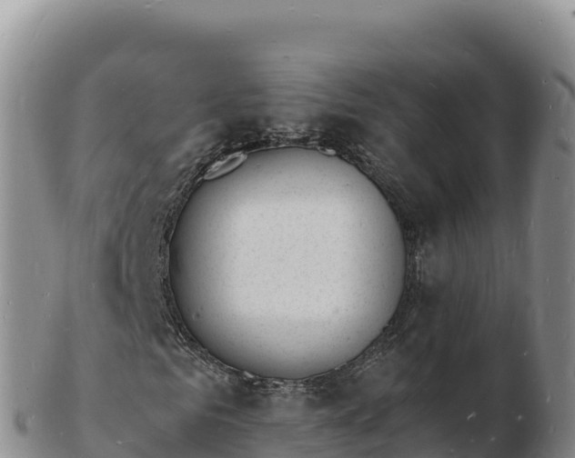 X0000103300961200809051519