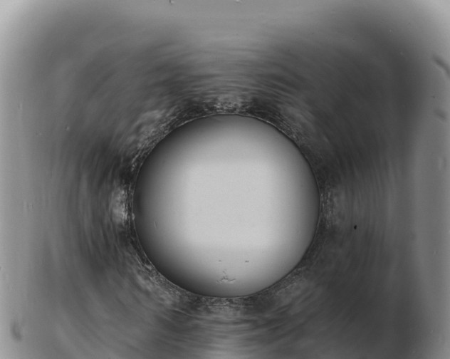 X0000103300962200809051519