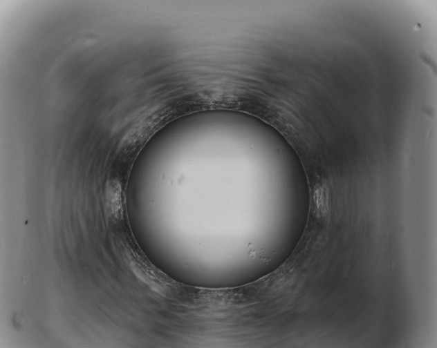 X0000103300963200809051519