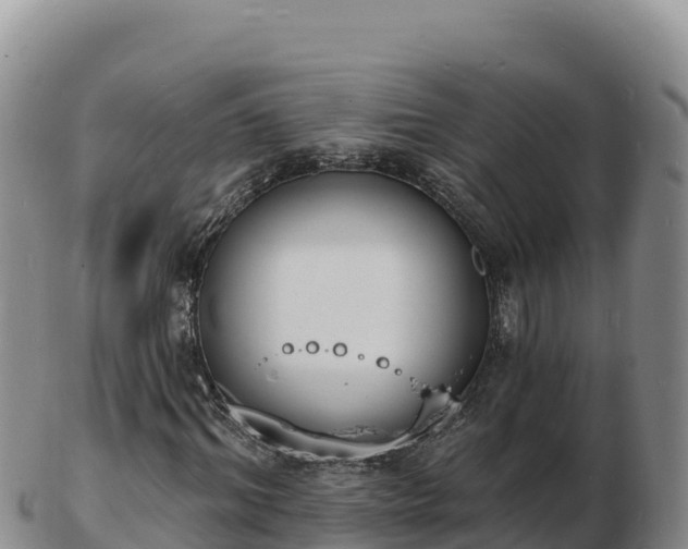 X0000103300964200809051519