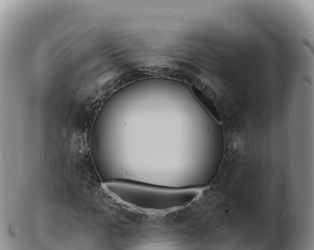 X0000103300965200809051519