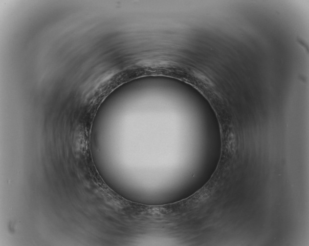 X0000103300966200809051519