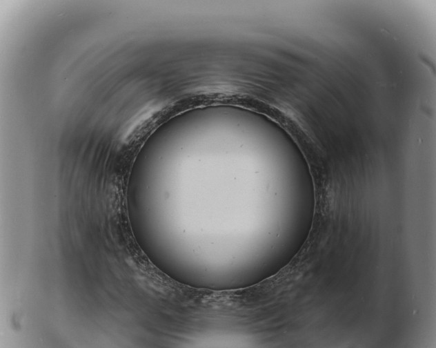 X0000103300967200809051519