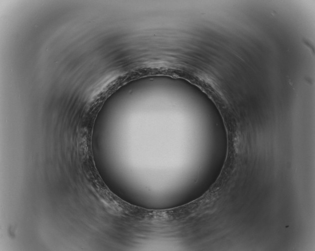 X0000103300968200809051519