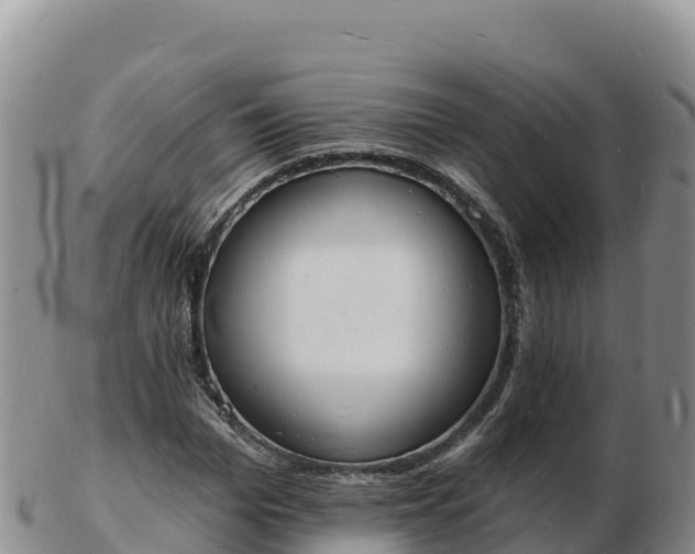 X0000103300969200809051519