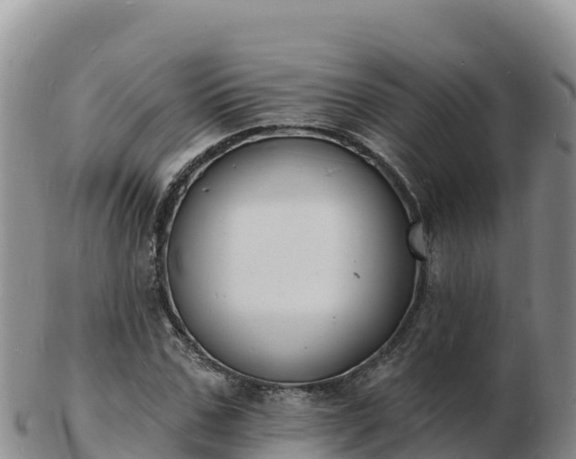 X0000103300971200809051519