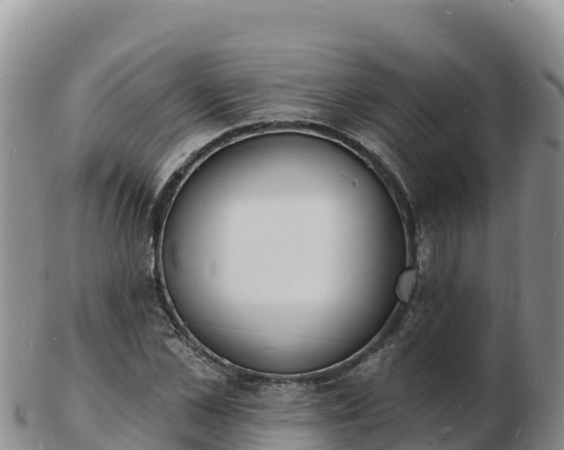 X0000103300973200809051519