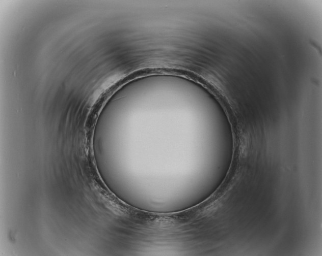 X0000103300974200809051519