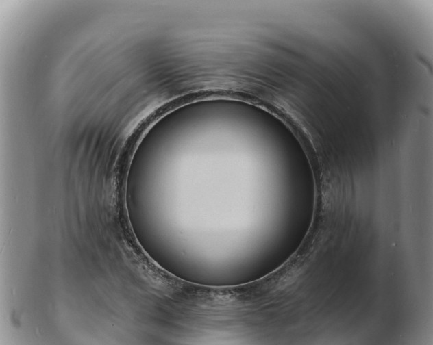 X0000103300975200809051519