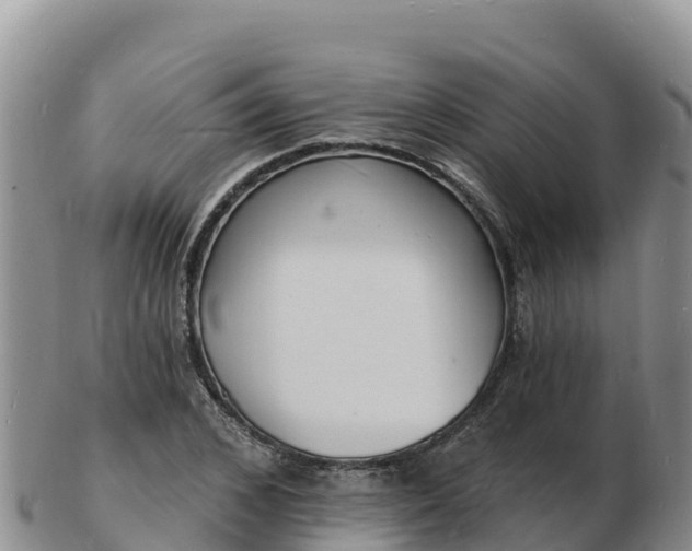 X0000103300976200809051519