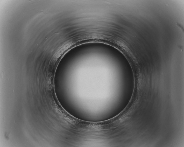 X0000103300977200809051519