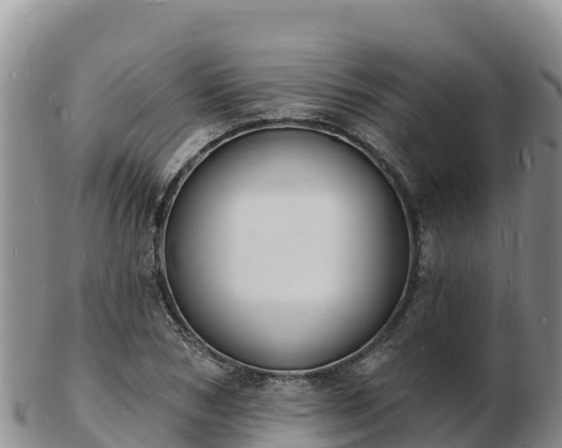 X0000103300978200809051519